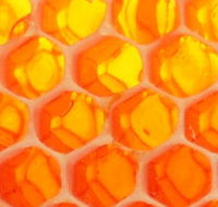 The Honey Pot - Hotel WA