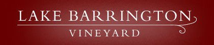 Lake Barrington Estate Vineyard - Hotel WA 0