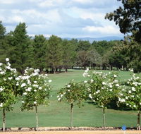 RMC Golf Club - Hotel WA