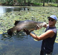 Barra Feeding - Hotel WA