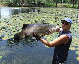 Barra Feeding - Hotel WA 0