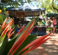 Nightcliff Markets - Hotel WA