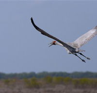 Gayngaru Wetlands Interpretive Walk - Hotel WA