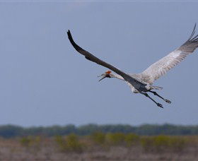 Gayngaru Wetlands Interpretive Walk - Hotel WA 0