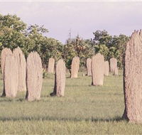 Magnetic Termite Mounds - Hotel WA