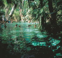 Mataranka Thermal Pool - Hotel WA