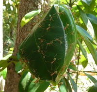 Greenant Creek Walk - Hotel WA