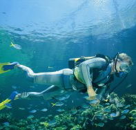 Kirra Reef Dive Site - Hotel WA