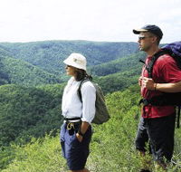 Sunshine Coast Hinterland Great Walk - Hotel WA