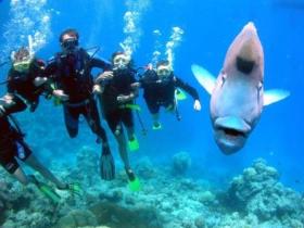 Magic Mountain Dive Site - Hotel WA 0