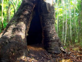 Tewantin National Park - Hotel WA 0