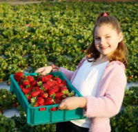 Strawberry Fields - Hotel WA