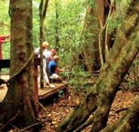 Mary Cairncross Scenic Reserve - Hotel WA