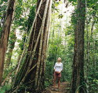 Wet Tropics - Hotel WA