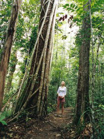 Wet Tropics - Hotel WA 0
