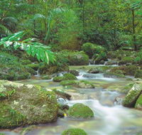 Mossman Gorge Daintree National Park - Hotel WA
