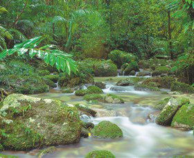 Mossman Gorge, Daintree National Park - Hotel WA 0