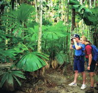 Mount Sorrow Ridge Trail Daintree National Park - Hotel WA