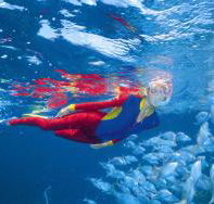 Great Detached Reef Dive Site - Hotel WA