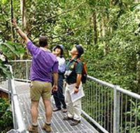 Daintree Discovery Centre - Hotel WA