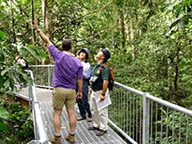Daintree Discovery Centre - Hotel WA 0
