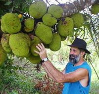 Cape Trib Exotic Fruit Farm - Hotel WA