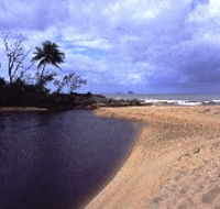 Russell River National Park - Hotel WA
