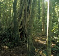 Mount Bithongabel - Hotel WA