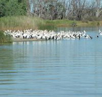 Lake Ross - Hotel WA