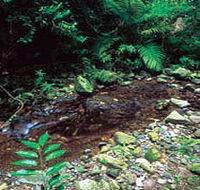 Wompoo Walk - Hotel WA