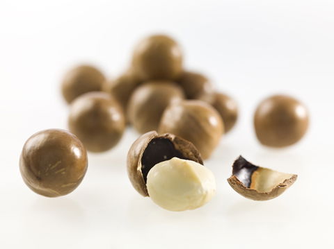 Nutworks - Hotel WA 5