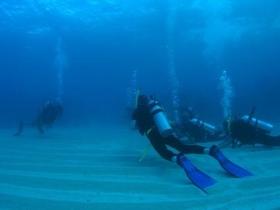 Child Island Dive Site - Hotel WA 0
