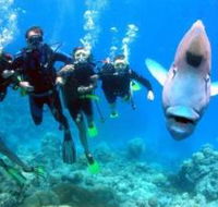 Henderson's Rock Dive Site - Hotel WA