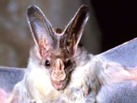 Mount Etna Caves National Park - Hotel WA 0