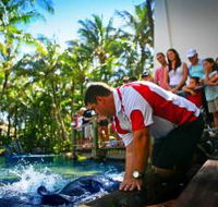 The Living Reef on Daydream Island - Hotel WA