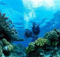Coral Gardens Dive Site - Hotel WA