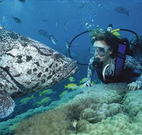 Pelorus Island - Hotel WA