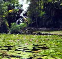 Queens Park Waterfall - Hotel WA