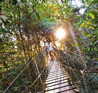 Tree Top Walkway - Hotel WA