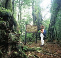 Tooloona Creek circuit - Hotel WA