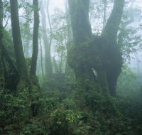 West Canungra Creek Circuit - Hotel WA