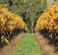 Wild Dog Winery  Restaurant - Hotel WA