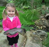 Wild Food Farm  Cafe - Hotel WA