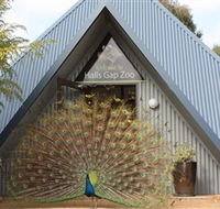 Halls Gap Zoo - Hotel WA