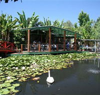 Blue Lotus Water Garden - Hotel WA