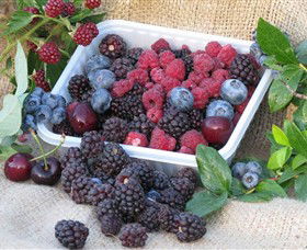 Bright Berry Farms - Hotel WA 0