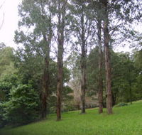 Mount Dandenong Arboretum - Hotel WA