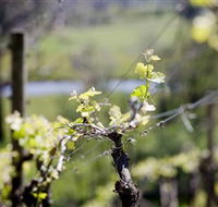 Norton Estate Wines - Hotel WA