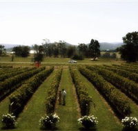 Rochford Wines - Hotel WA