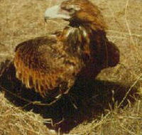 Long Forest Nature Conservation Reserve - Hotel WA